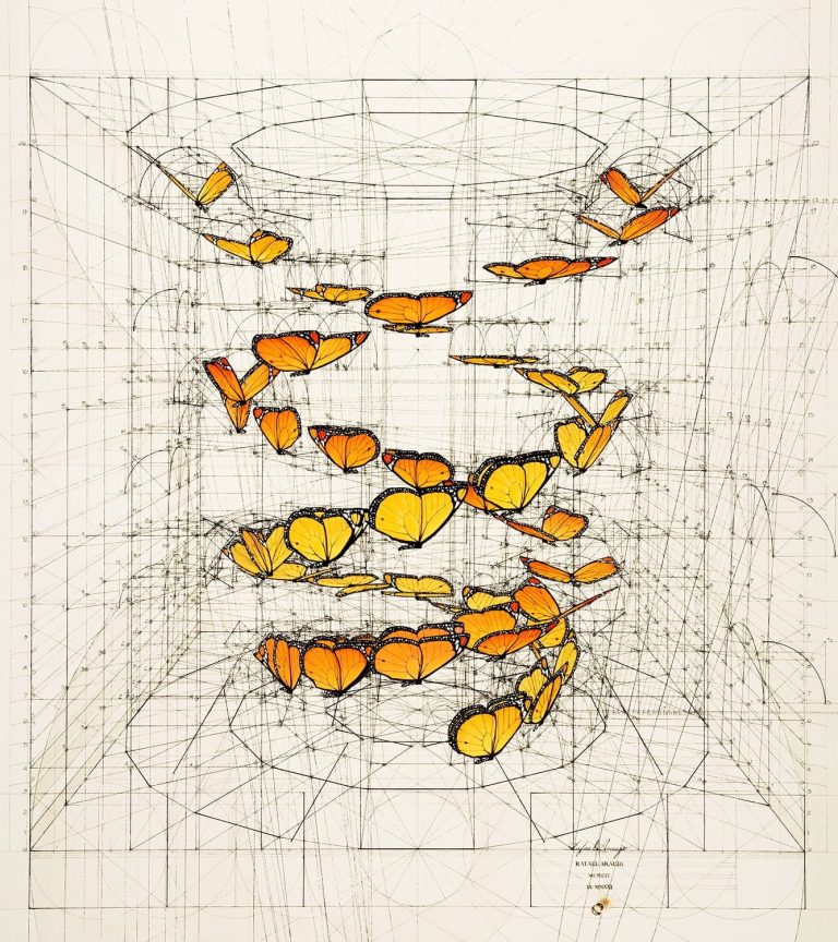 Slim Cone Double Helix — Rafael Araujo