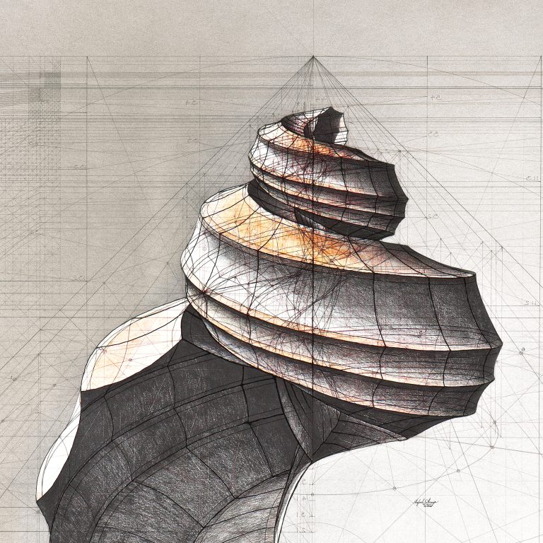 45 Degrees' Shell — Rafael Araujo