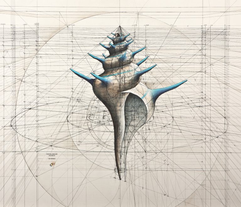 Blue Spikes' Shell — Rafael Araujo