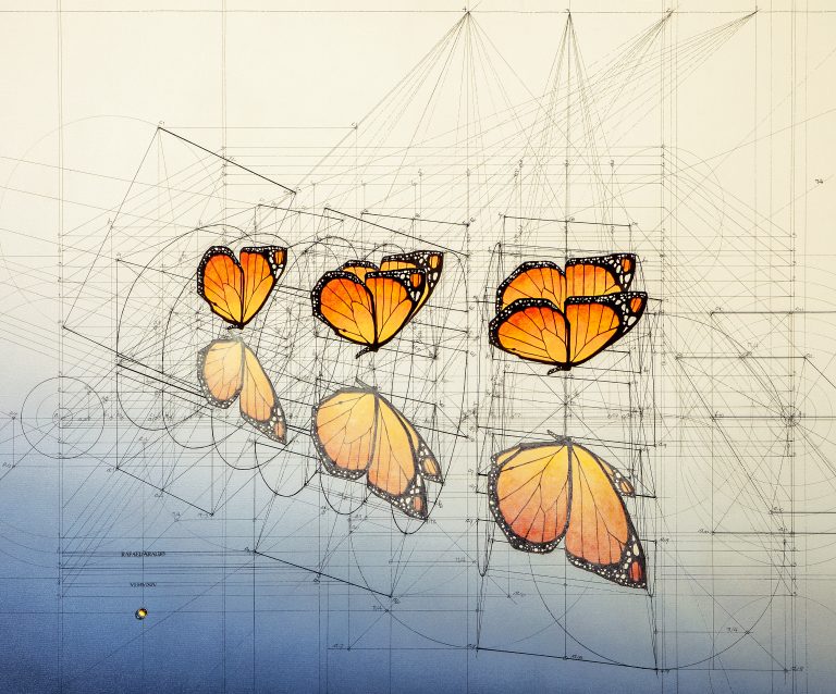 Monarch Water Mirror — Rafael Araujo